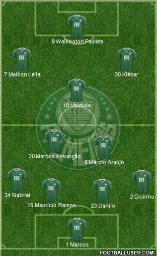 SE Palmeiras Formation 2011