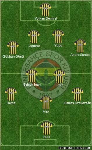 Fenerbahçe SK Formation 2011