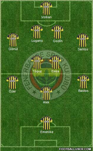 Fenerbahçe SK Formation 2011