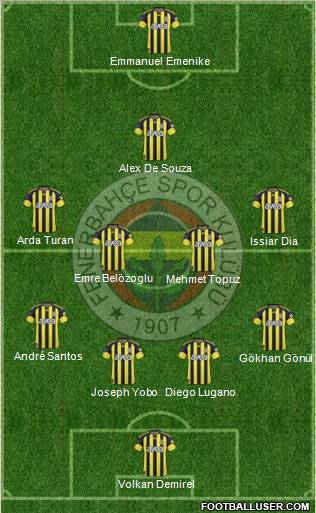 Fenerbahçe SK Formation 2011