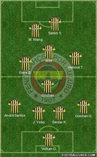 Fenerbahçe SK Formation 2011