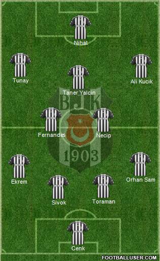Besiktas JK Formation 2011