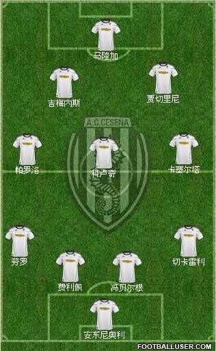 Cesena Formation 2011