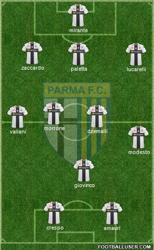 Parma Formation 2011