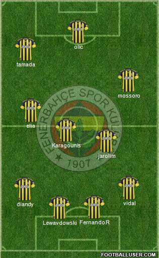 Fenerbahçe SK Formation 2011