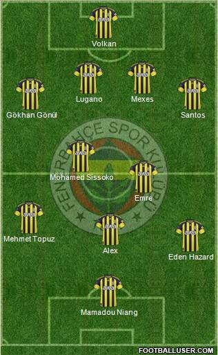 Fenerbahçe SK Formation 2011