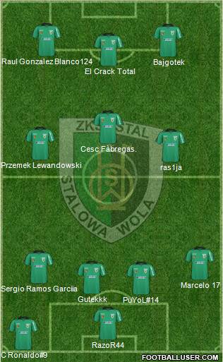 Stal Stalowa Wola Formation 2011