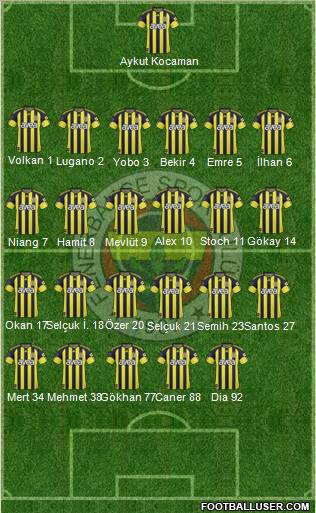 Fenerbahçe SK Formation 2011