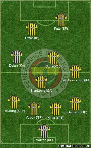 Fenerbahçe SK Formation 2011