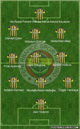 Fenerbahçe SK Formation 2011
