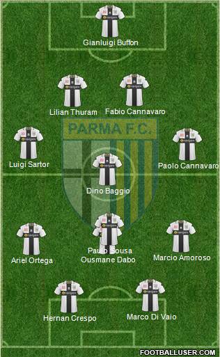Parma Formation 2011
