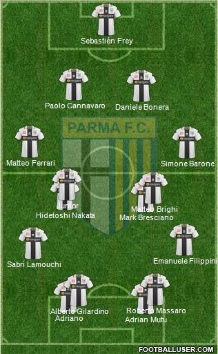 Parma Formation 2011
