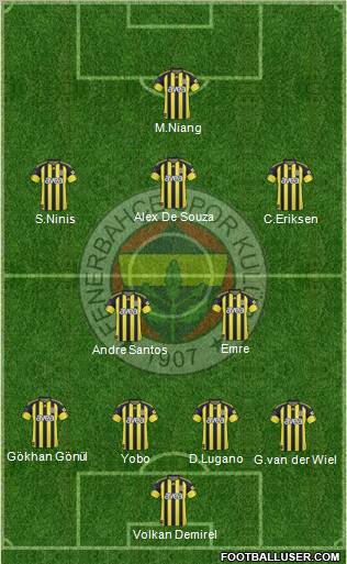 Fenerbahçe SK Formation 2011