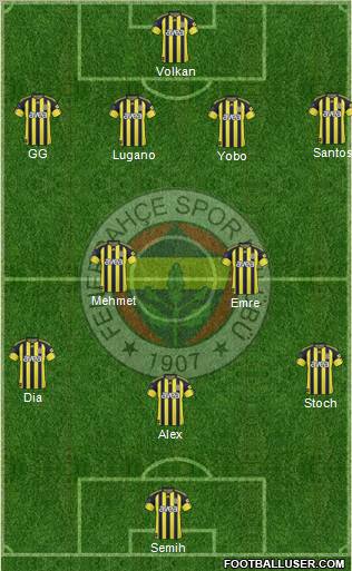Fenerbahçe SK Formation 2011