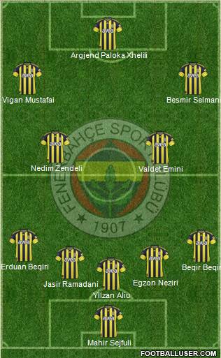 Fenerbahçe SK Formation 2011