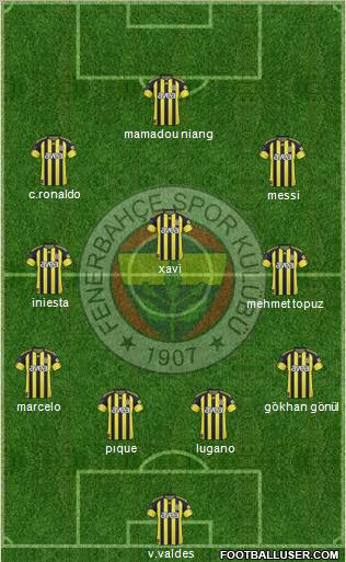 Fenerbahçe SK Formation 2011