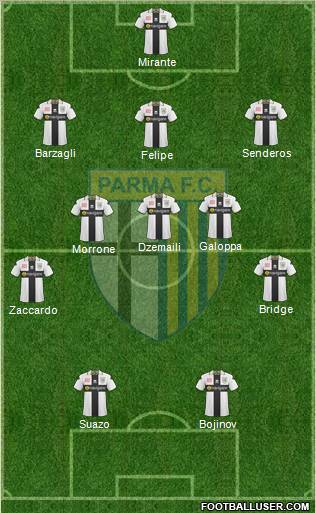 Parma Formation 2011