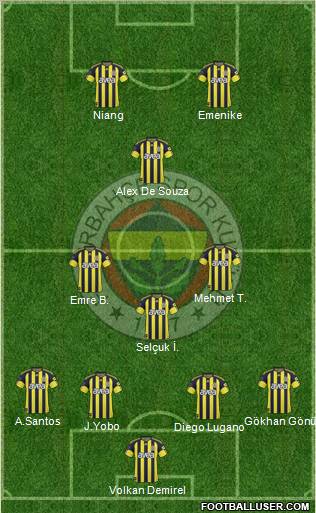 Fenerbahçe SK Formation 2011