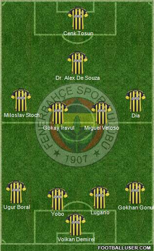 Fenerbahçe SK Formation 2011