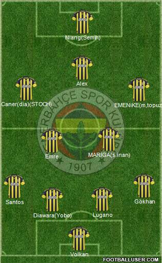 Fenerbahçe SK Formation 2011