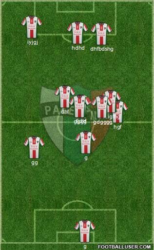 CD Palestino S.A.D.P. Formation 2011