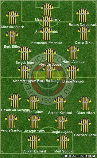 Fenerbahçe SK Formation 2011