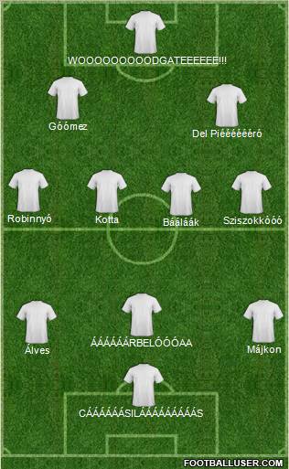 Botafogo SC Formation 2011