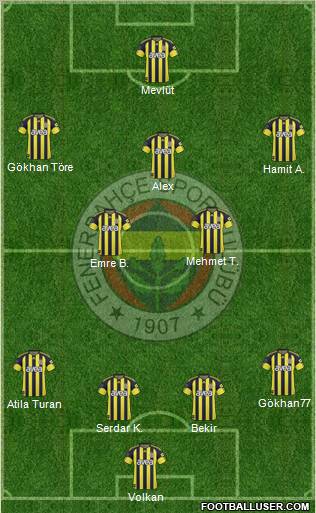 Fenerbahçe SK Formation 2011