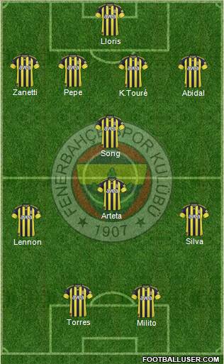 Fenerbahçe SK Formation 2011