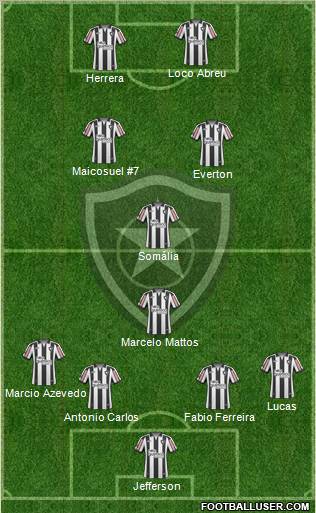 Botafogo FR Formation 2011
