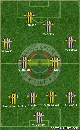 Fenerbahçe SK Formation 2011
