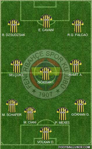 Fenerbahçe SK Formation 2011