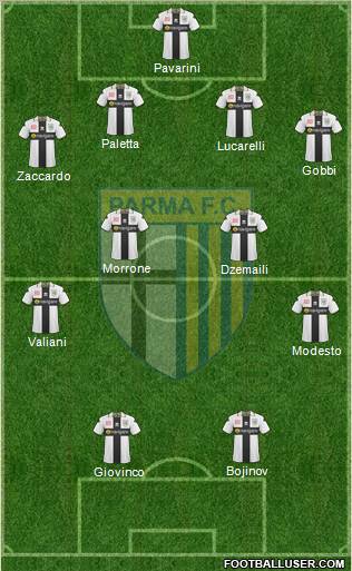 Parma Formation 2011