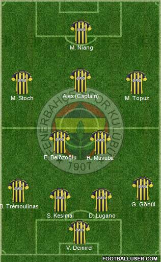Fenerbahçe SK Formation 2011