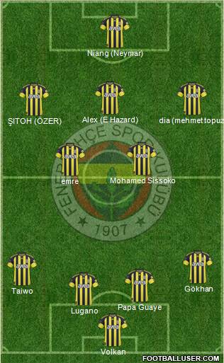 Fenerbahçe SK Formation 2011