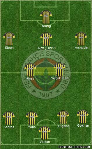 Fenerbahçe SK Formation 2011