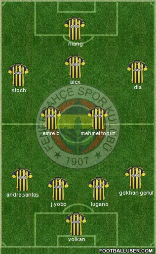 Fenerbahçe SK Formation 2011