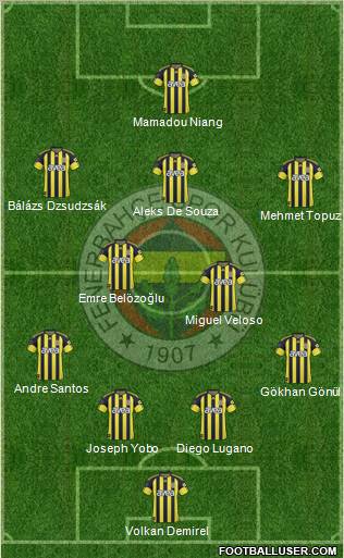 Fenerbahçe SK Formation 2011