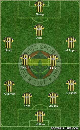 Fenerbahçe SK Formation 2011