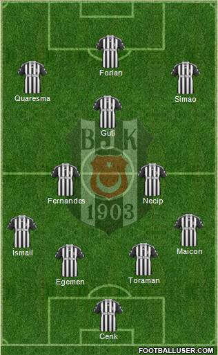 Besiktas JK Formation 2011