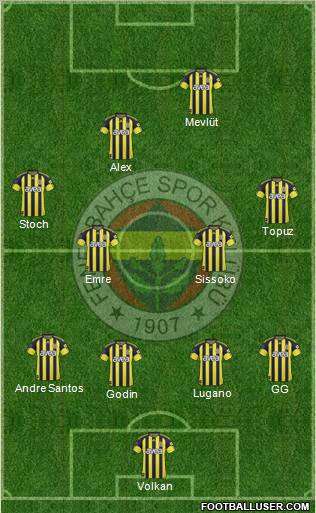 Fenerbahçe SK Formation 2011