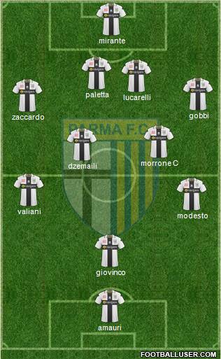 Parma Formation 2011