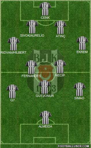 Besiktas JK Formation 2011