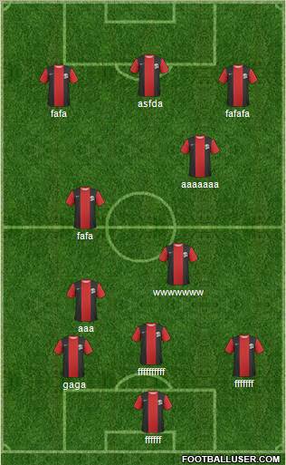 Belediye Vanspor Formation 2011