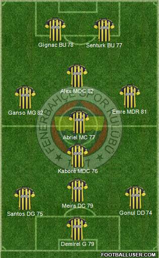 Fenerbahçe SK Formation 2011