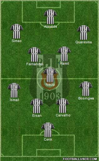 Besiktas JK Formation 2011