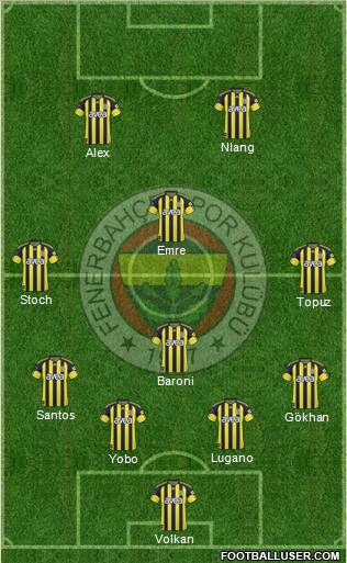 Fenerbahçe SK Formation 2011