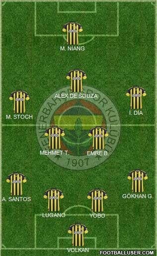 Fenerbahçe SK Formation 2011