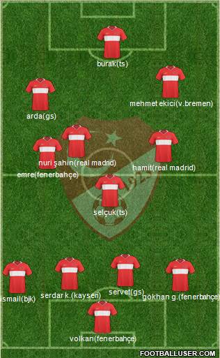 Turkey Formation 2011