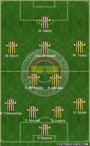 Fenerbahçe SK Formation 2011